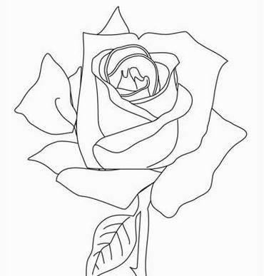 花简笔画 花简笔画彩色