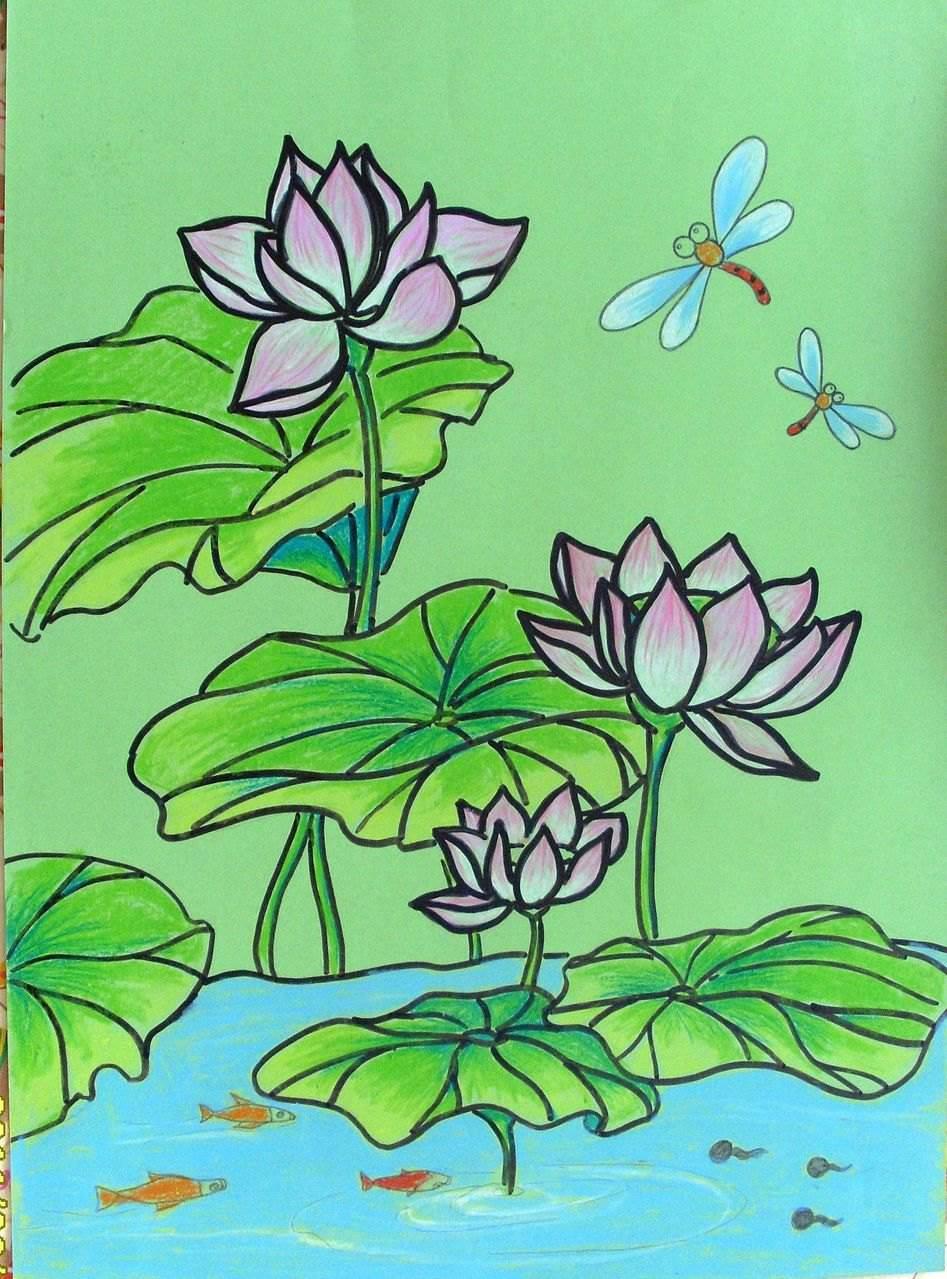 荷花荷叶简笔画 荷花荷叶简笔画彩色
