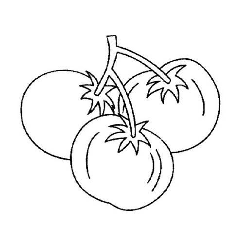 西红柿简笔画 西红柿简笔画简单