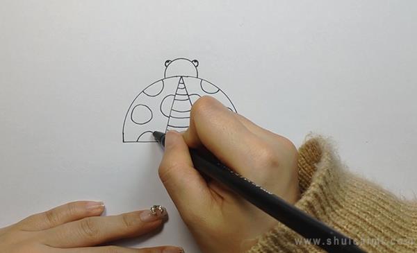 甲壳虫简笔画怎么画 甲壳虫简笔画图片大全