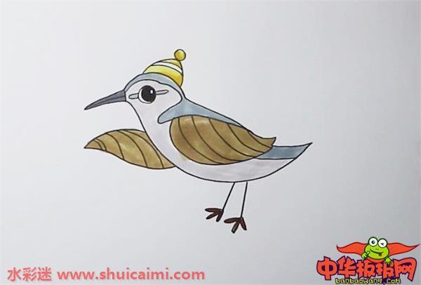 杜鹃鸟怎么画 杜鹃鸟简笔画步骤