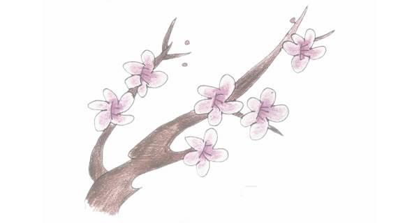 梅花树简笔画 梅花树简笔画手绘