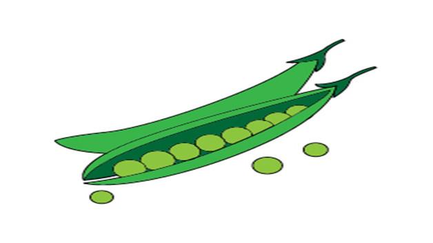 豌豆的简笔画怎么画 豌豆简笔画画法