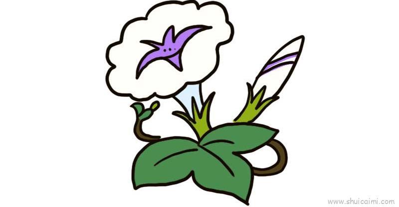 白色牵牛花儿童画怎么画 白色牵牛花简笔画简单