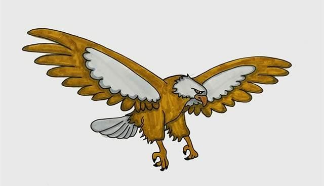 老鹰简笔画 老鹰简笔画简单