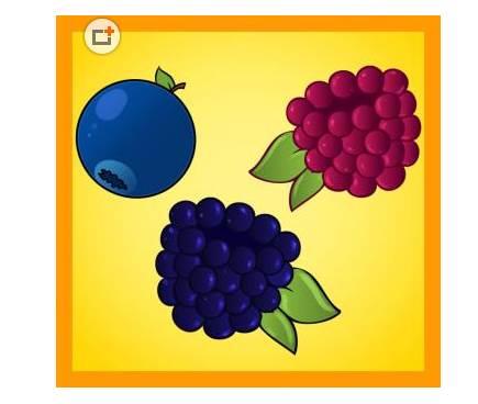 蓝莓简笔画 蓝莓简笔画图片