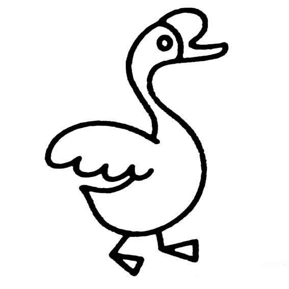 鹅的简笔画 鹅的简笔画图片大全可爱简单