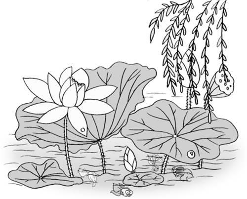 荷花简笔画图片 荷花简笔画图片大全简单漂亮