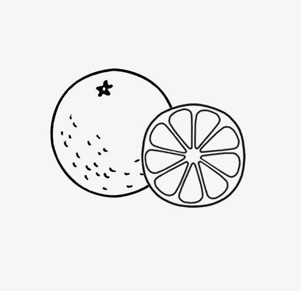 橙子简笔画 橙子简笔画带颜色