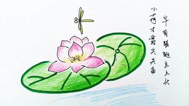 蜻蜓的简笔画图片大全大图 蜻蜓的简笔画彩色
