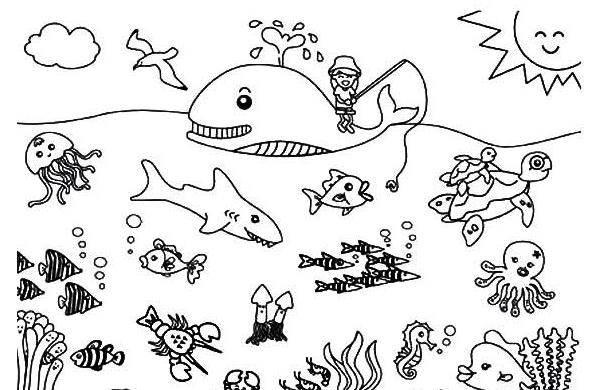 海洋简笔画 海洋简笔画图片带颜色
