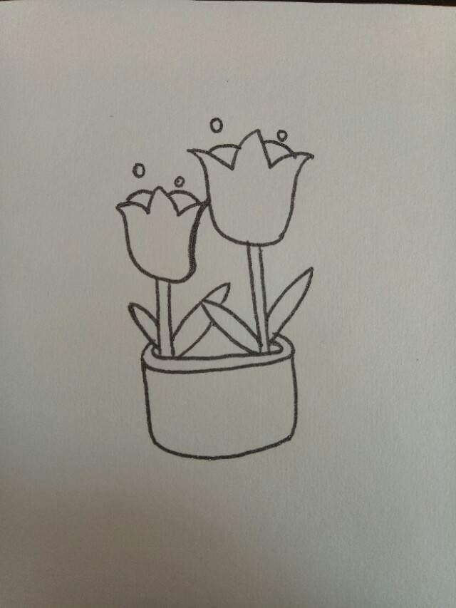 郁金香简笔画 郁金香简笔画图片