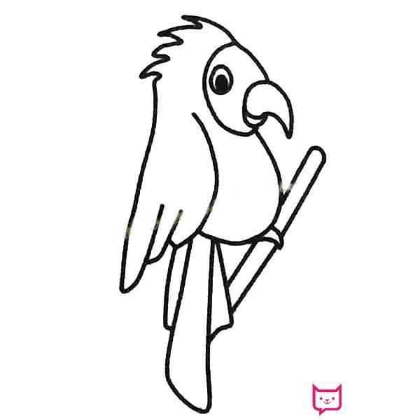 鹦鹉简笔画图片大全 鹦鹉简笔画图片大全可爱图片