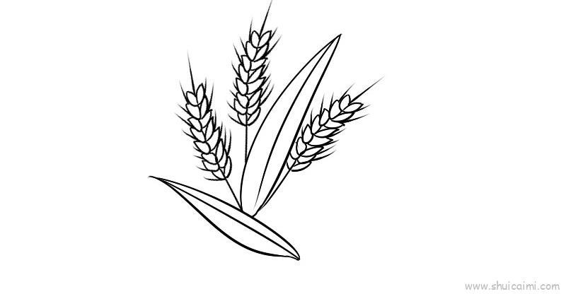芒种儿童画怎么画 芒种简笔画画法