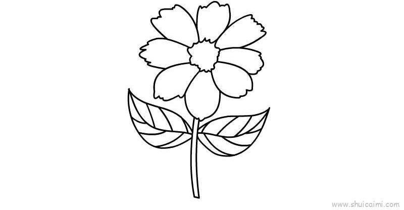 粉色菊花儿童画怎么画 粉色菊花简笔画步骤