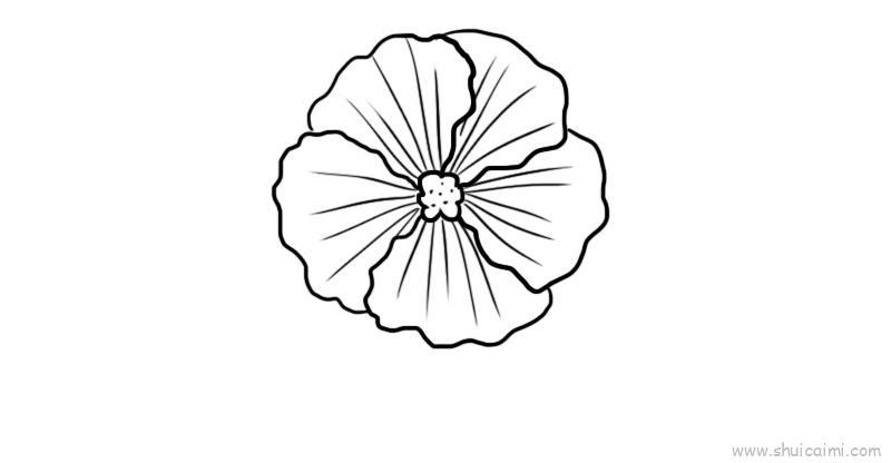 芙蓉花儿童画怎么画 芙蓉花简笔画简单