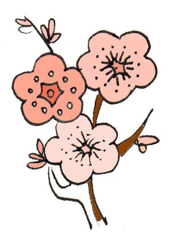 梅花的简笔画怎么画 梅花的简笔画步骤