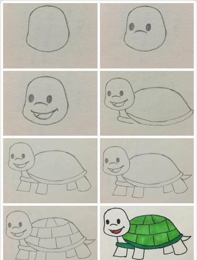 小乌龟简笔画 小乌龟简笔画怎么画