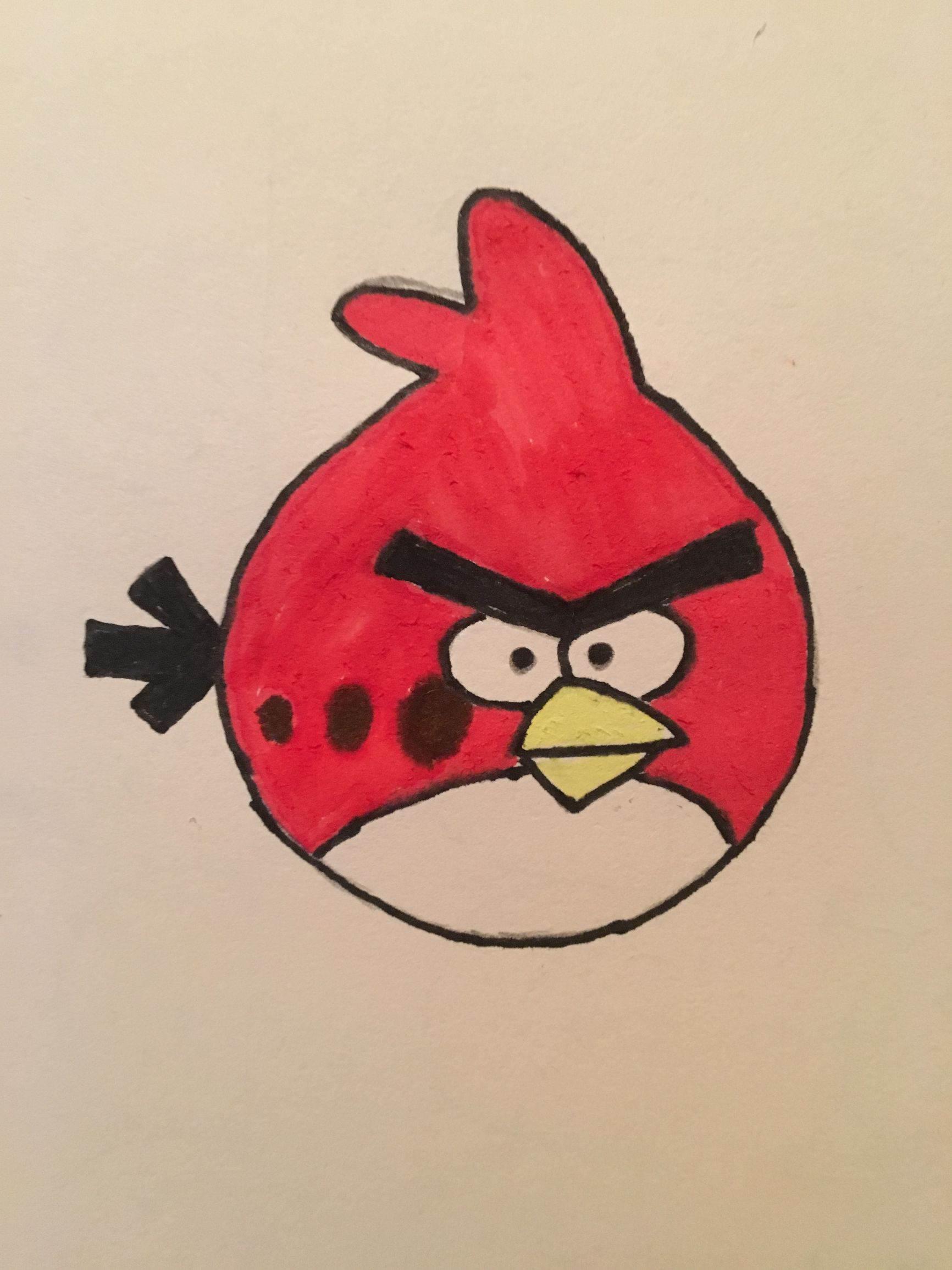 小鸟的简笔画 小鸟的简笔画简单又好看可爱