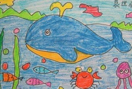 海底简笔画图片大全 海底世界简笔画图片大全
