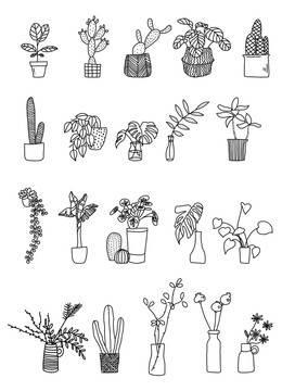 植物的简笔画 植物的简笔画花草树木