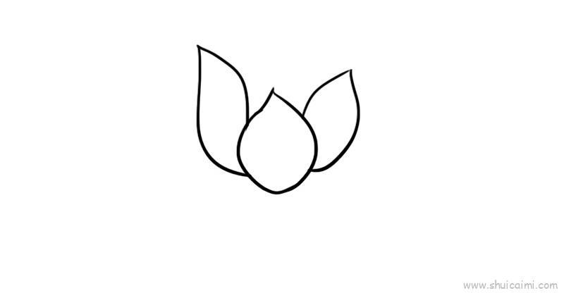 花瓣儿童画怎么画 花瓣简笔画图片大全