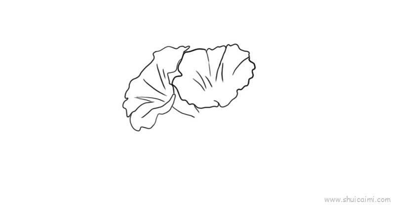 牵牛花儿童画怎么画 牵牛花简笔画画法