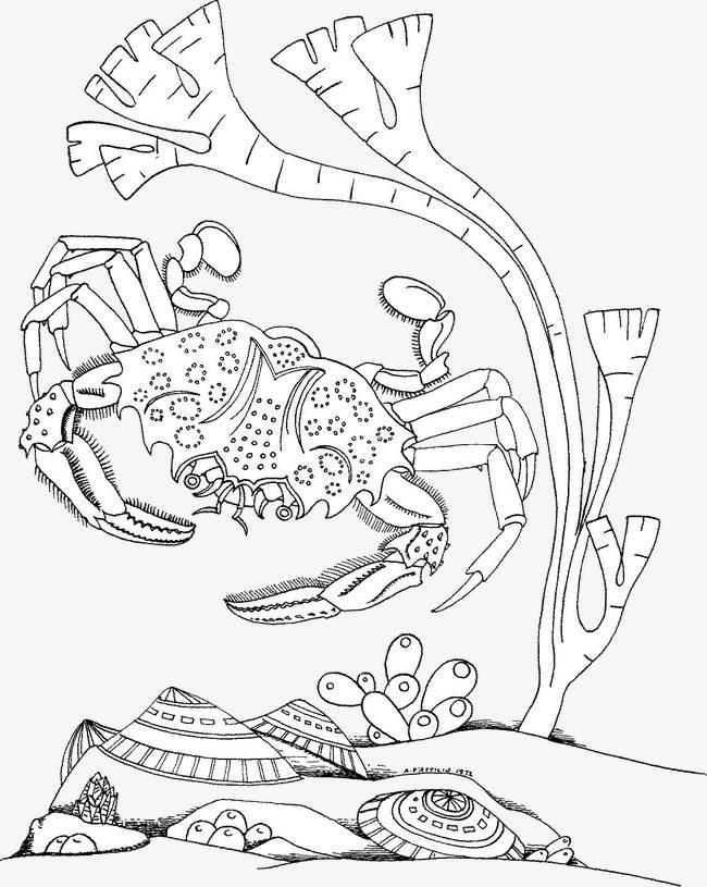 简笔画螃蟹 简笔画螃蟹图片