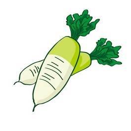 萝卜简笔画图片大全 萝卜简笔画图片大全简单