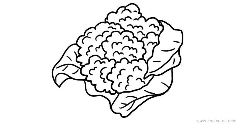 花菜儿童画怎么画 花菜简笔画顺序