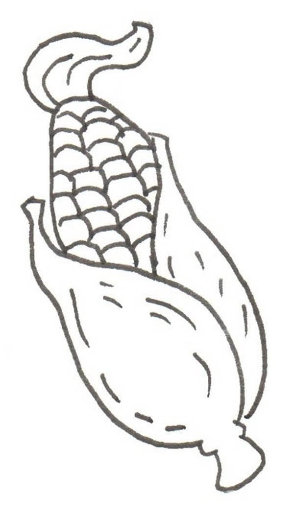 玉米图片简笔画 大玉米图片简笔画儿童画