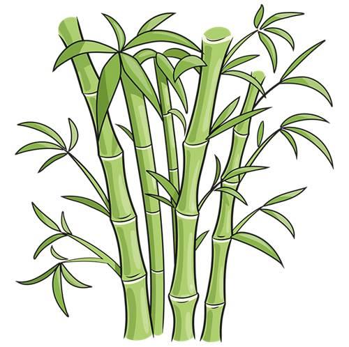 竹子的简笔画 竹子的简笔画图片