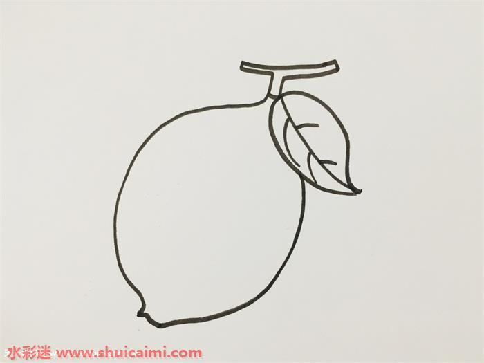 柠檬怎么画 柠檬简笔画步骤