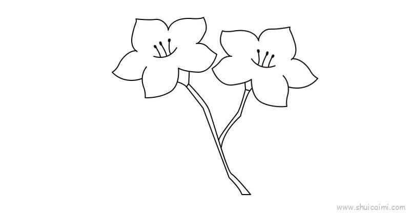 杜鹃花教程儿童画怎么画 杜鹃花教程简笔画简单又好看