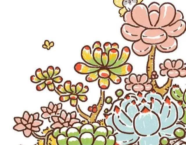 多肉简笔画 多肉简笔画图片大全