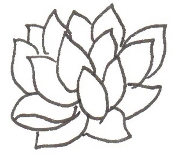 多肉简笔画 多肉简笔画图片大全