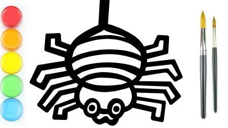 蜘蛛的简笔画 蜘蛛的简笔画图片大全
