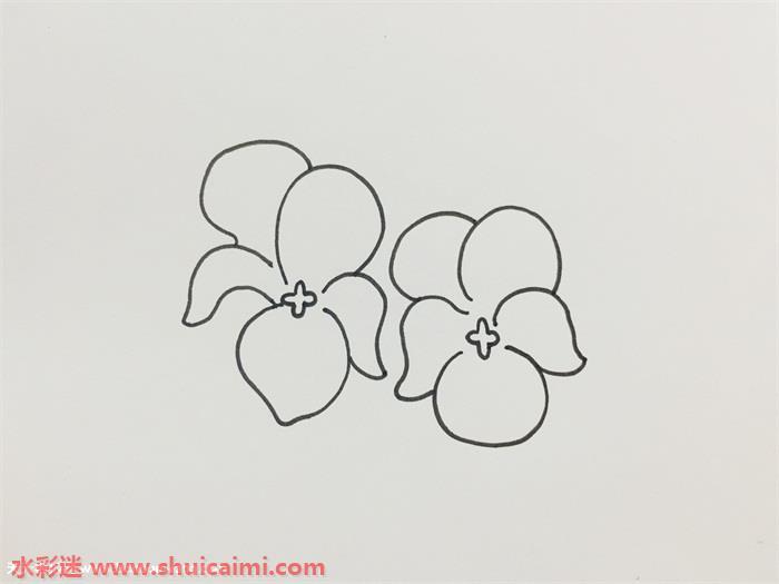 紫罗兰好看怎么画 紫罗兰简笔画步骤图