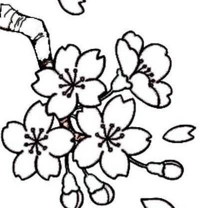 画树的简笔画 简单画树的简笔画