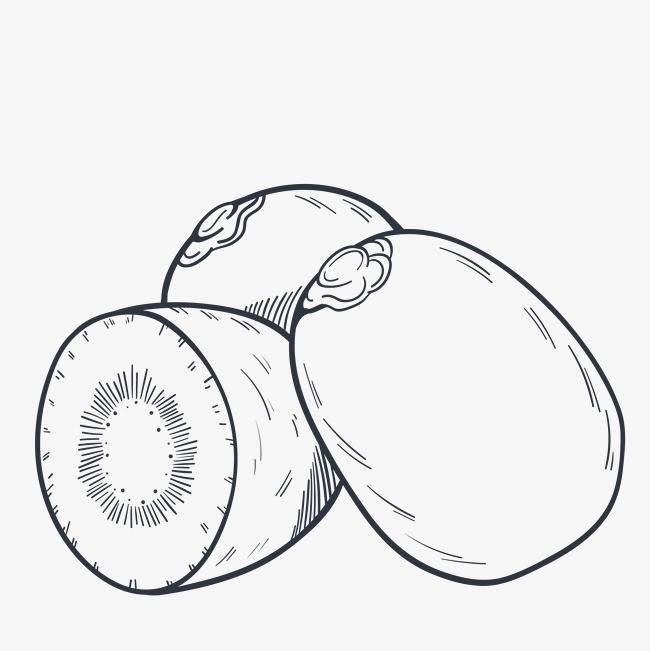 猕猴桃简笔画 猕猴桃简笔画可爱