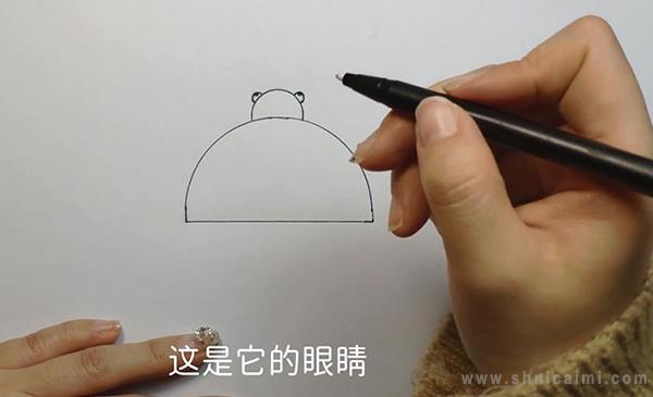 甲壳虫简笔画怎么画 甲壳虫简笔画图片大全
