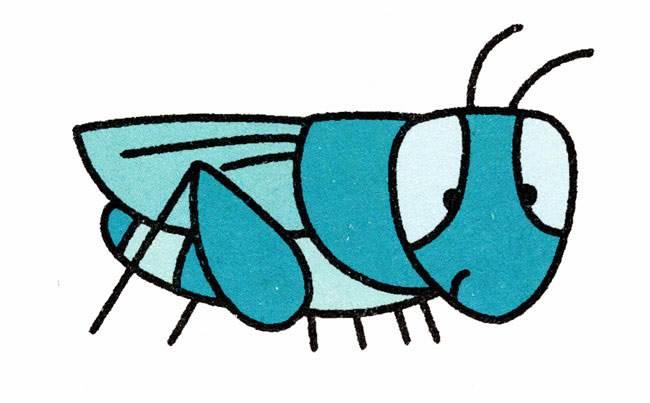 蚂蚱的简笔画图片大全 蚂蚱的简笔画图片大全可爱