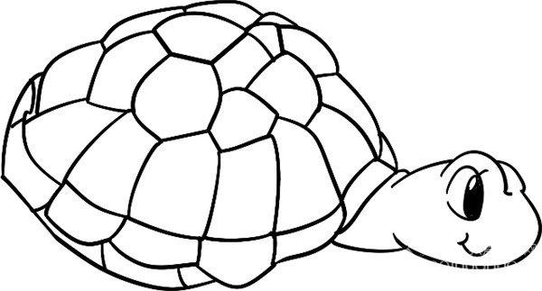 游行的海龟的简笔画怎么画 游行的海龟简笔画图片