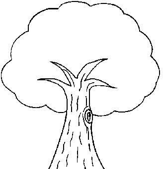 树的简笔画 树的简笔画大树