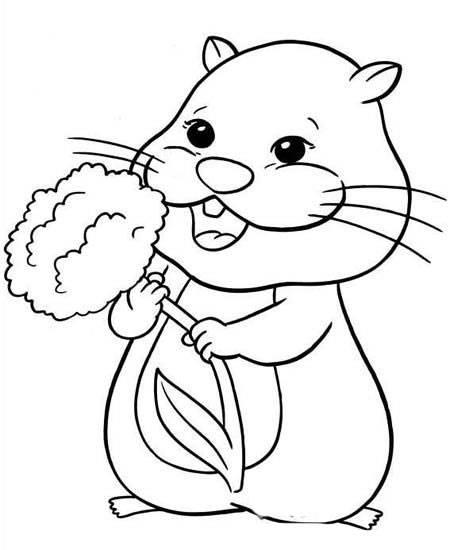 仓鼠简笔画 仓鼠简笔画大全可爱