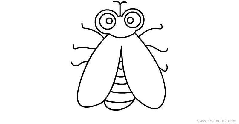 苍蝇儿童画怎么画 苍蝇简笔画步骤