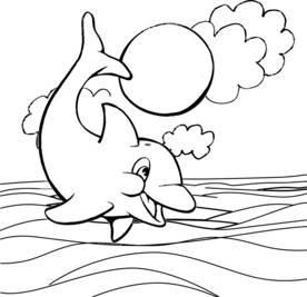 海豚简笔画 海豚简笔画简单