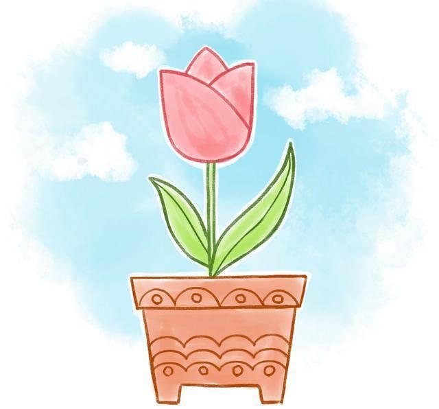 郁金香简笔画 郁金香简笔画图片