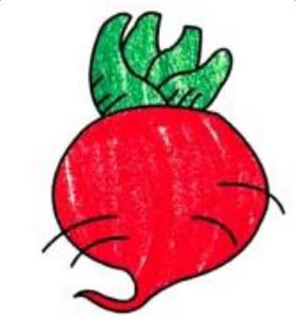萝卜简笔画图片大全 萝卜简笔画图片大全简单