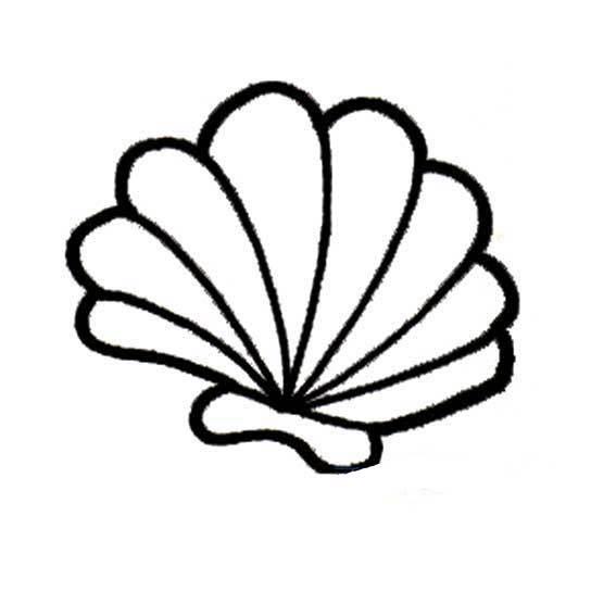 贝壳简笔画 贝壳简笔画儿童画